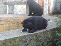 IMGP0821.JPG